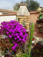 lot  15piéces deboutures