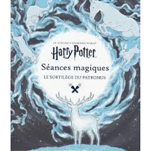 Livre harry potter seances - harry,