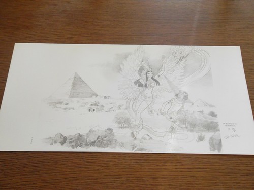Jaquette papyrus - jaquette,