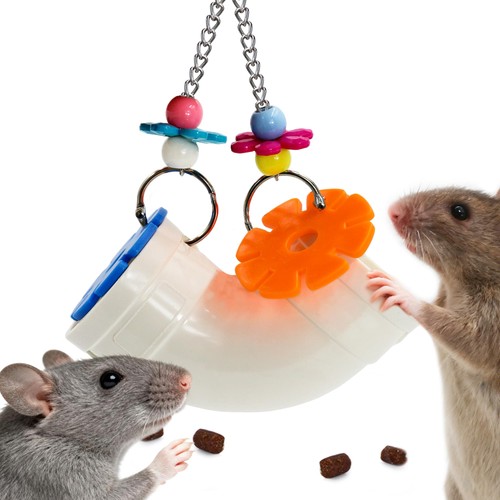Rat enrichment toys wide - enrichment,