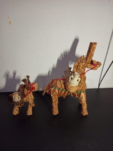 Deux ânes tressage de - deux, en