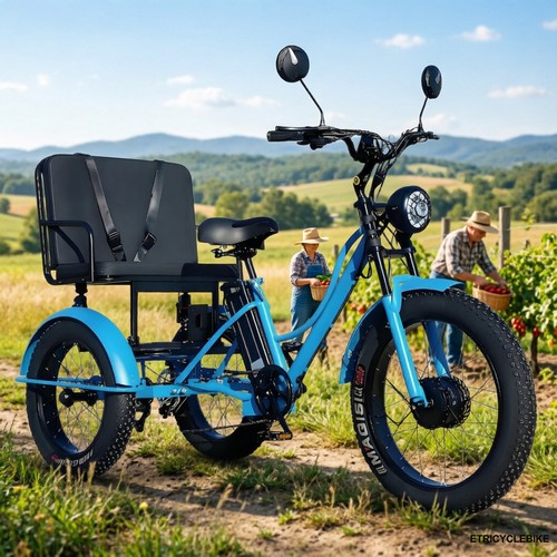 Tricycle électrique familial - tricycle,