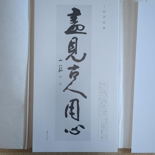 Livre calligraphie nigensha - de,
