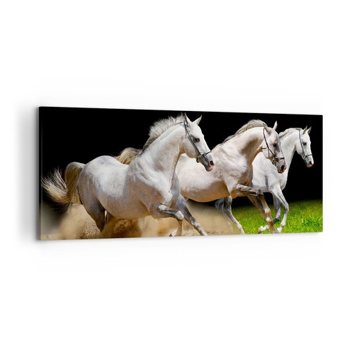 Impression sur toile 120x50cm - impression,
