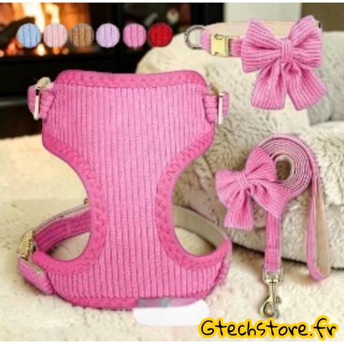 Ensemble harnais chien - ensemble,