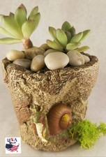 Succulent Plant Flower Clay