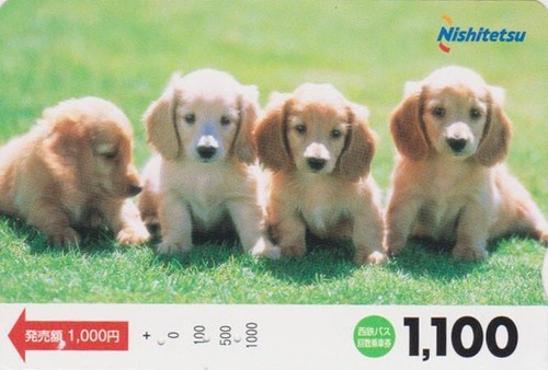 Carte japon animal chien - -,