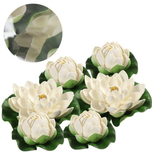 Plante flottante nénuphar