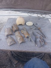 All Natural Terrarium Vivarium