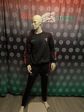 Survêtement Jogging