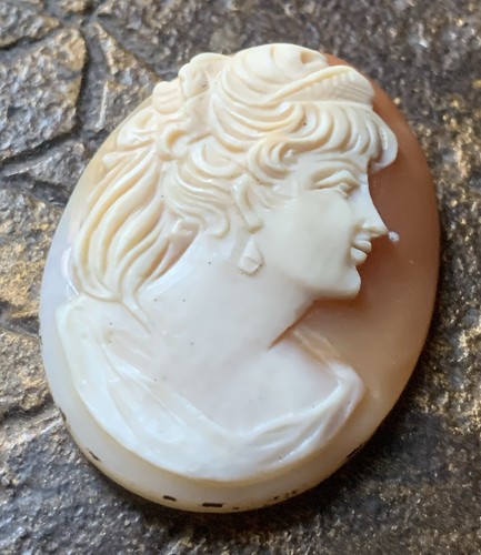 Beau camée coquillage