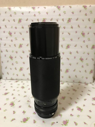 Canon zoom 100 - canon,