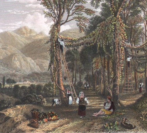 1840 gravure aquarellée - gravure,