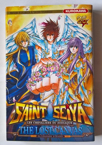 Saint seiya les - saint,