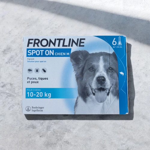 Spot pour chiens 6 - pour,