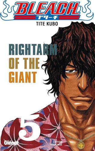 Bleach tome - bleach,