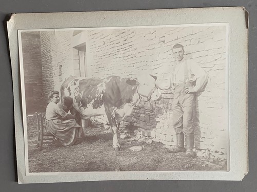 Photo agriculture elevage - photo,