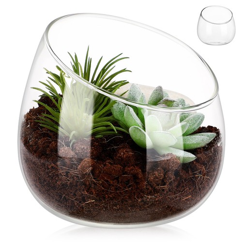 Petit terrarium verre pour - petit, en