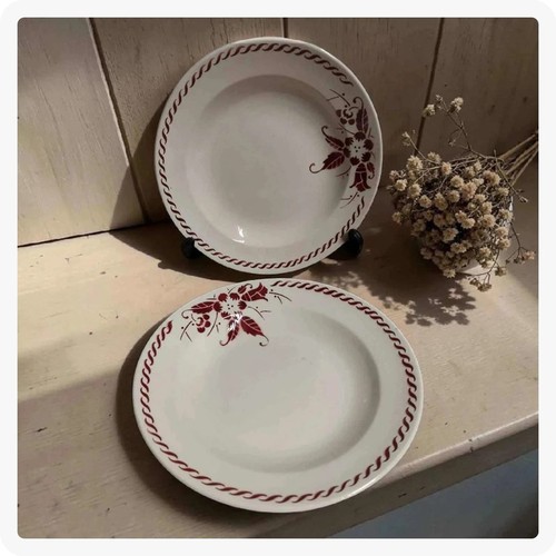 Duo assiettes anciennes - duo, boch