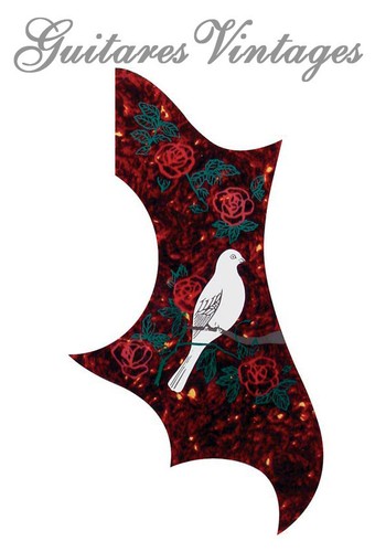 Pickguard type gibson dove - type,