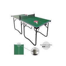 Table De Ping Pong Pliable