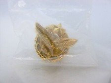 Pin's Pins Pin Badge - BREVET