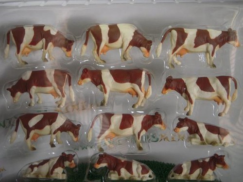 Kg571968 vaches marron et - 12,