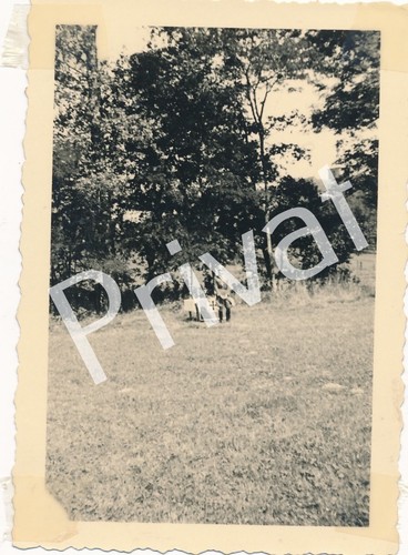 Photo soldats gebirgsjäger - soldats,