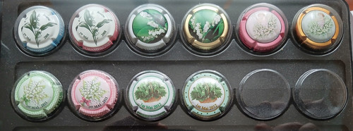 Capsules champagne - 10,