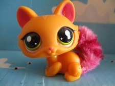 PETSHOP CHAT SPHYNX N°2576 /