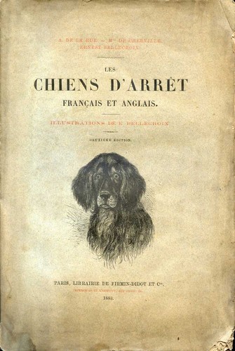 Chasse chiens d arret - chasse, d'arret