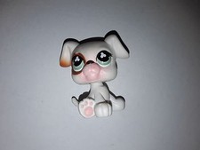 LITTLE PETSHOP / LPS / chien chiot boxer  / 738