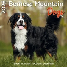 CALENDRIER BOUVIER BERNOIS