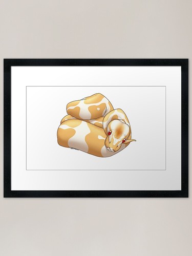 Albino ball python framed art - albino,