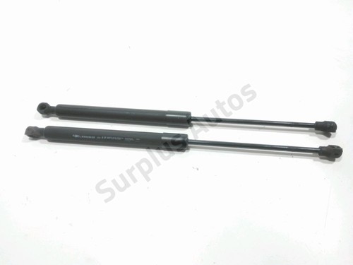 Verin hayon 844307620r renault - hayon,