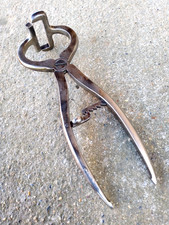 ANCIENNE PINCE DE CASTRATION -BOURGUIGNON- INSTRUMENT DE MEDECINE VETERINAIRE -