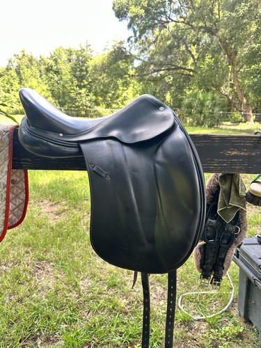 Hermes corlandus - 17.5”,