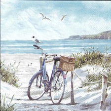 Lot de 4 Serviettes en papier