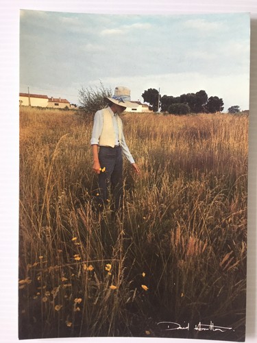 Carte postale david - postale,