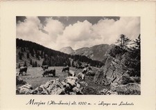 Morzine alpages aux - 74,
