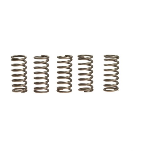 Ressorts embrayage ebc hide - 6,