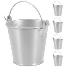  5 Pcs Mini Seaux En Fer-blanc Petits Métal Métallique Pots Succulents