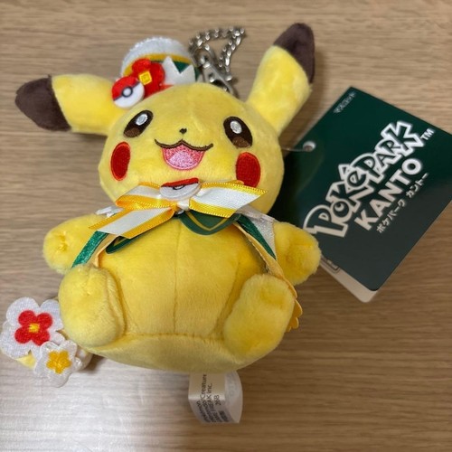 Pokemon kanto pikachu peluche - kanto,