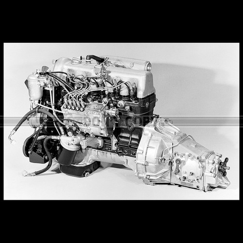 Photo 011142 mercedes benz - photo, a.011142