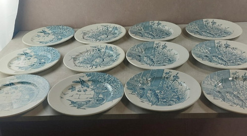 Lot anciennes assiettes - lot,