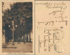 Lucca Via Animée Avec Vélo