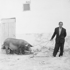 Photo papier  argentique