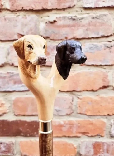 Bâton marche bois - bâton,