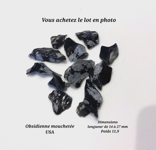 Lot obsidienne mouchetée usa - obsidienne,