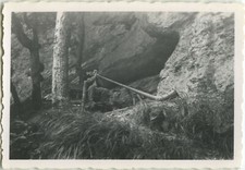 PHOTO ANCIENNE - VINTAGE